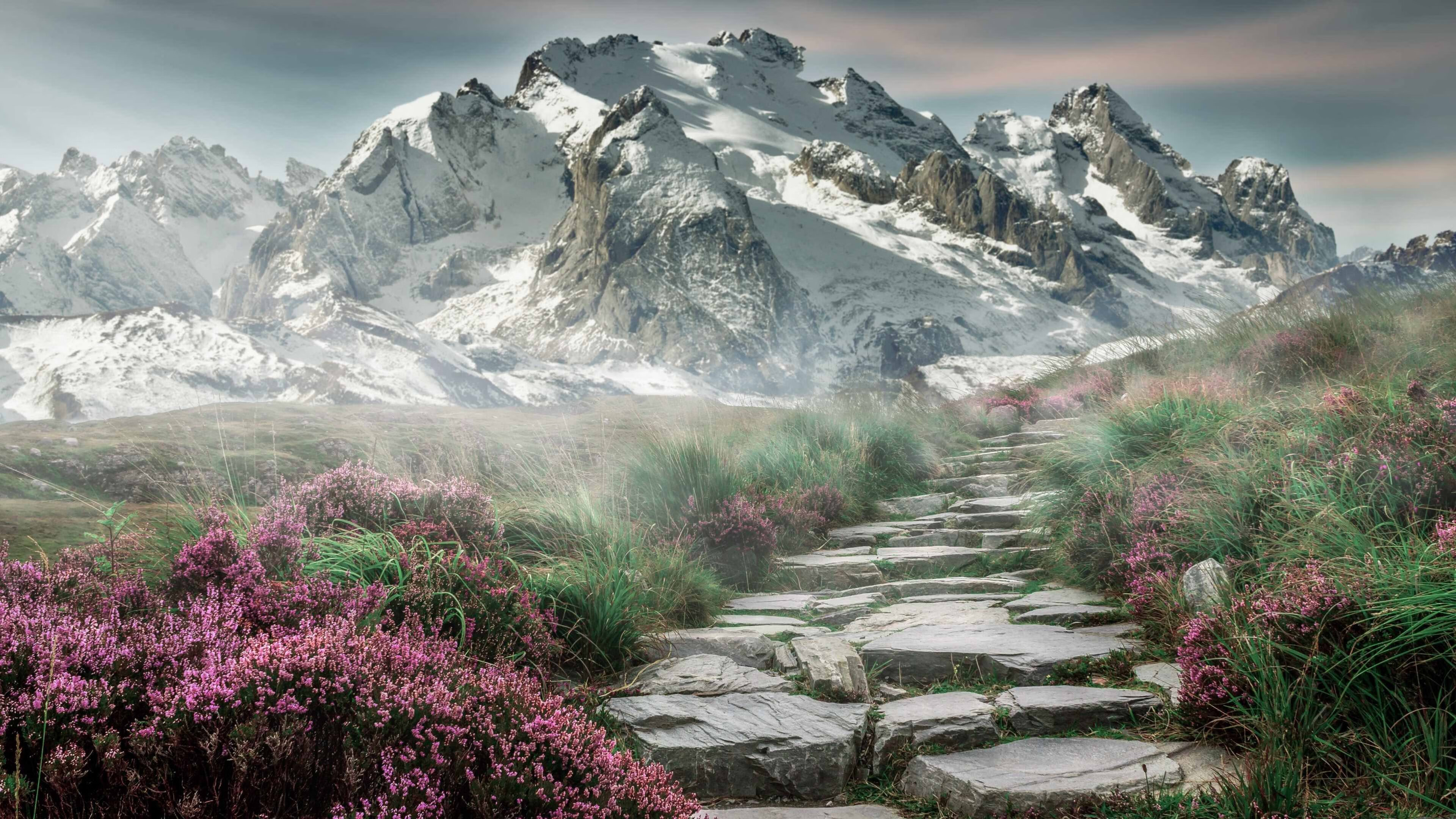 全新升级，智领未来，v7.2.5 新版正式发布，2026年2月1日开启高效新纪元